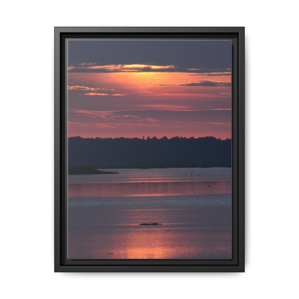Framed Matte Canvas Sunrise Alligator Florida Wetlands