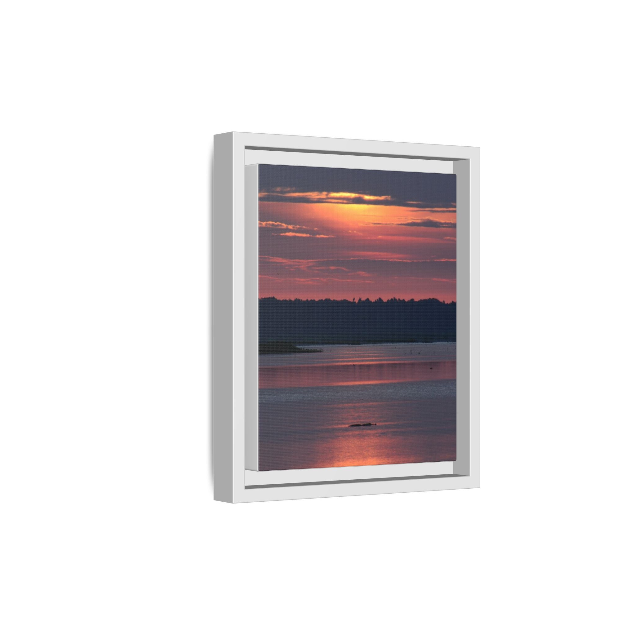 Framed Matte Canvas Sunrise Alligator Florida Wetlands
