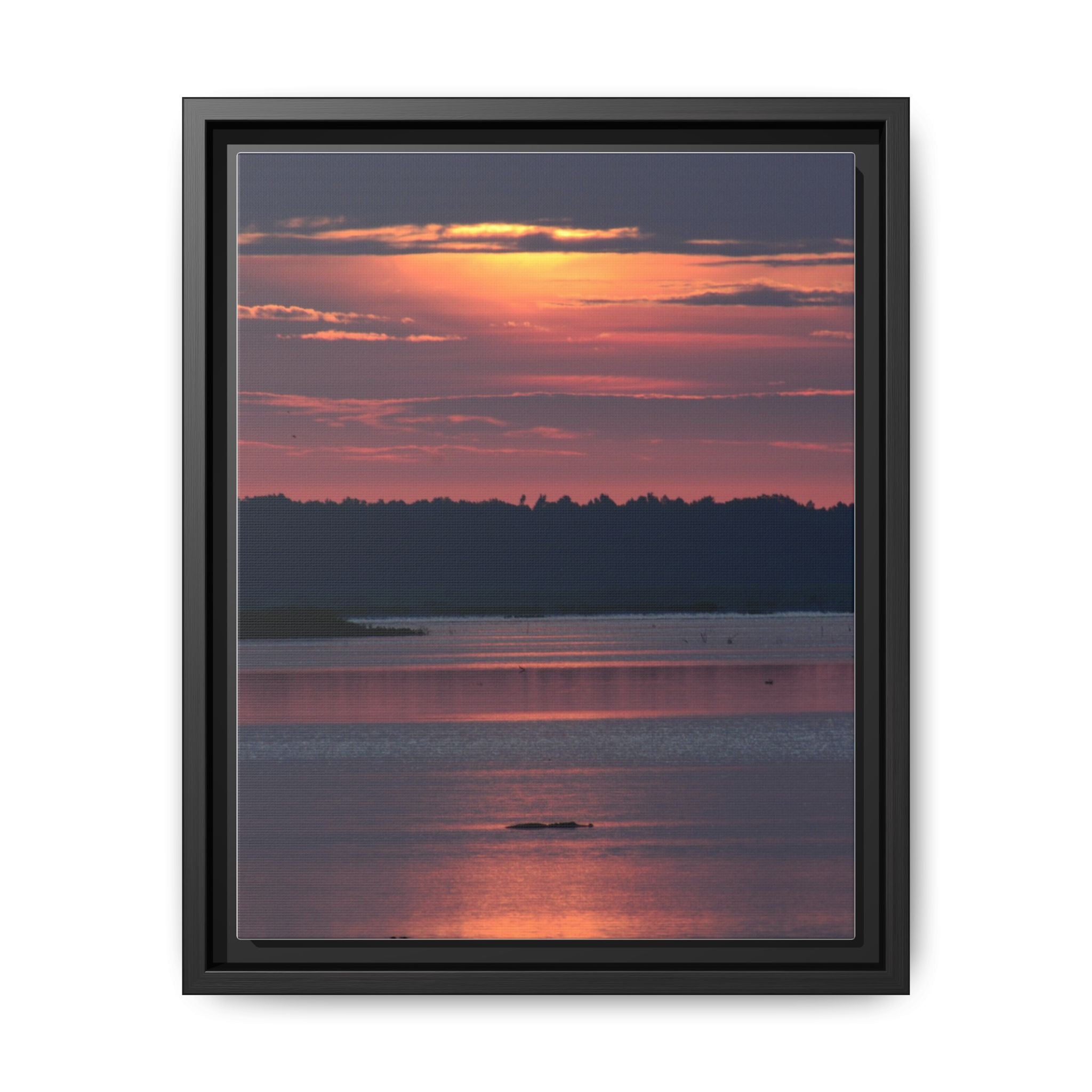 Framed Matte Canvas Sunrise Alligator Florida Wetlands