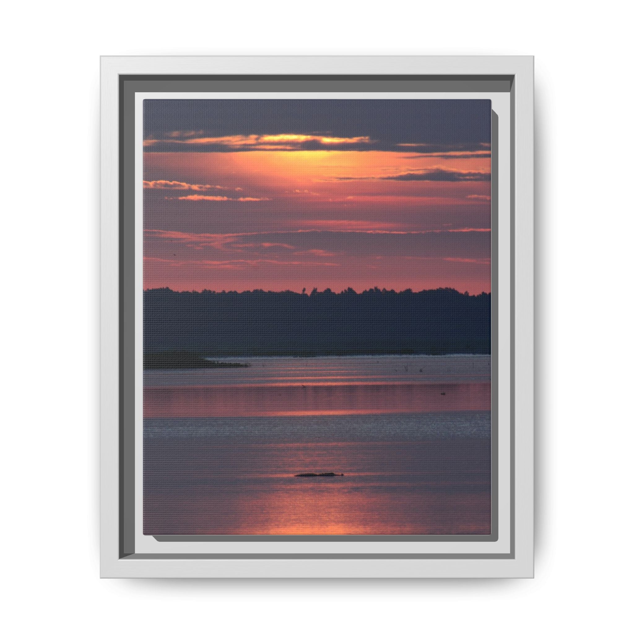 Framed Matte Canvas Sunrise Alligator Florida Wetlands