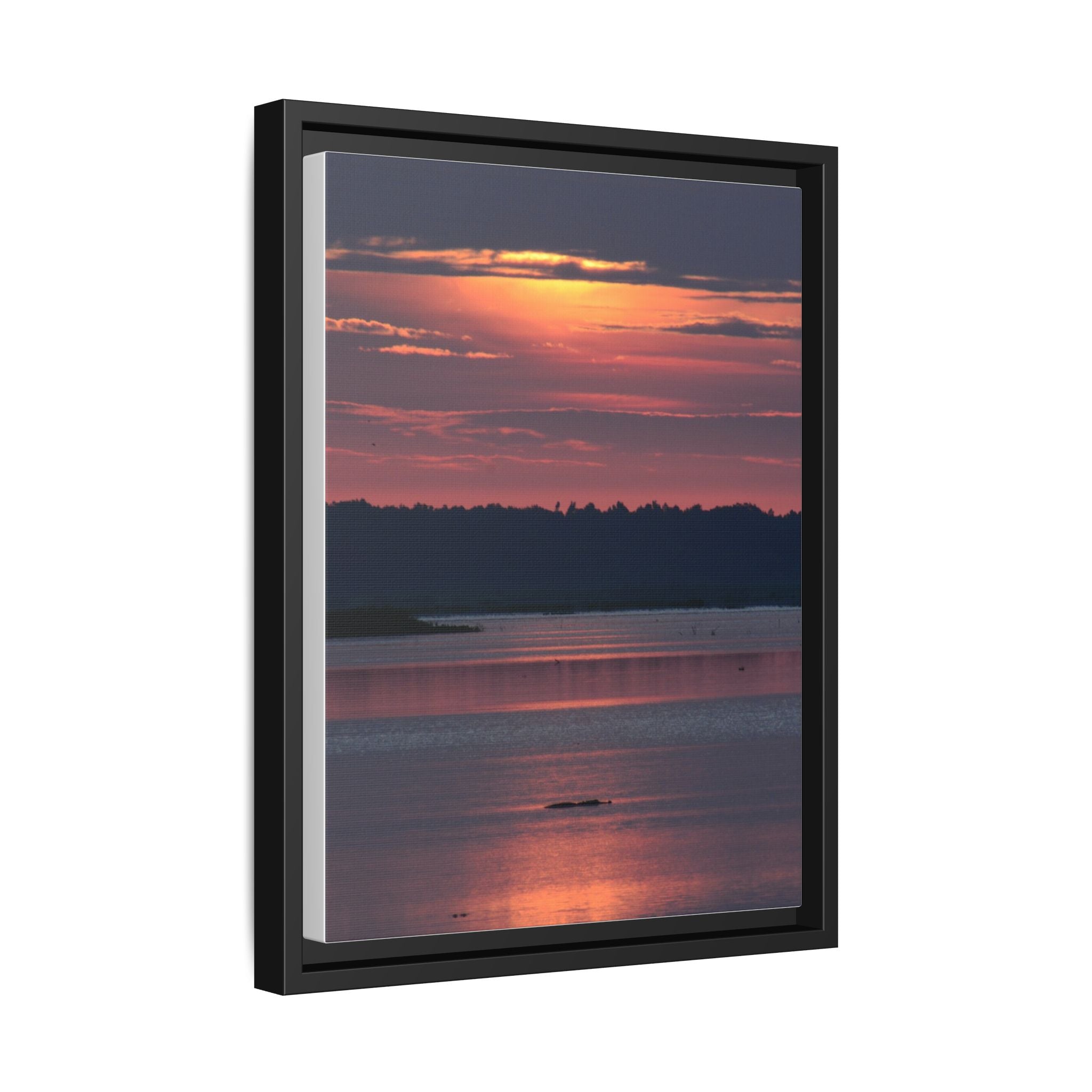 Framed Matte Canvas Sunrise Alligator Florida Wetlands