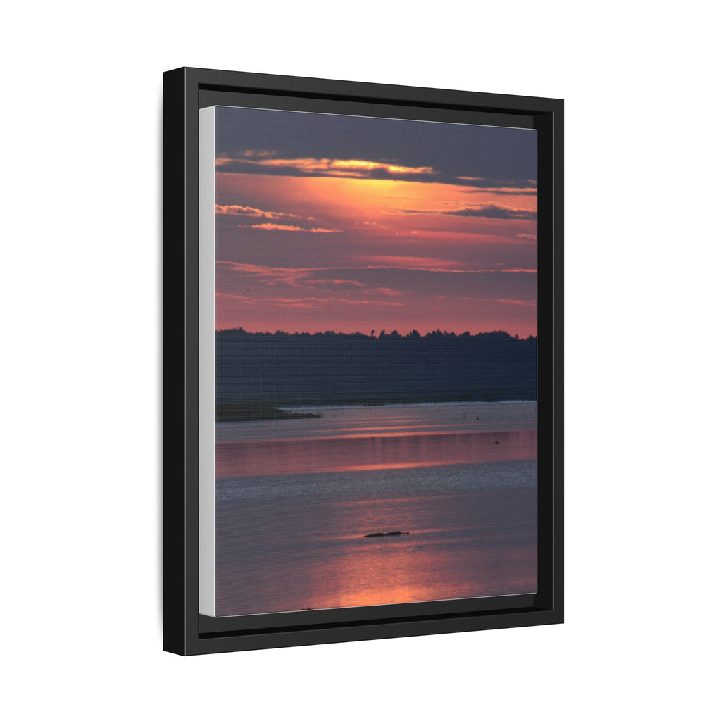Framed Matte Canvas Sunrise Alligator Florida Wetlands