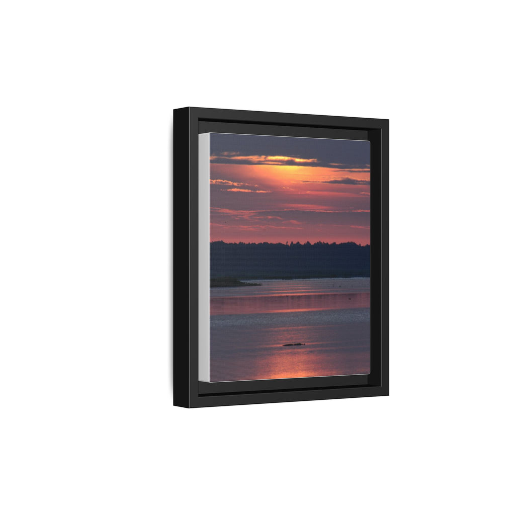 Framed Matte Canvas Sunrise Alligator Florida Wetlands