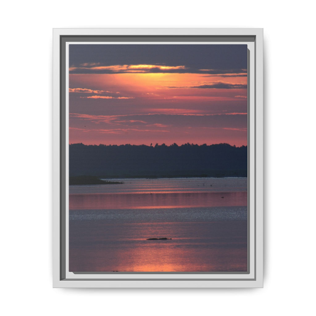 Framed Matte Canvas Sunrise Alligator Florida Wetlands