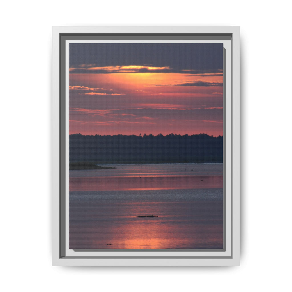 Framed Matte Canvas Sunrise Alligator Florida Wetlands