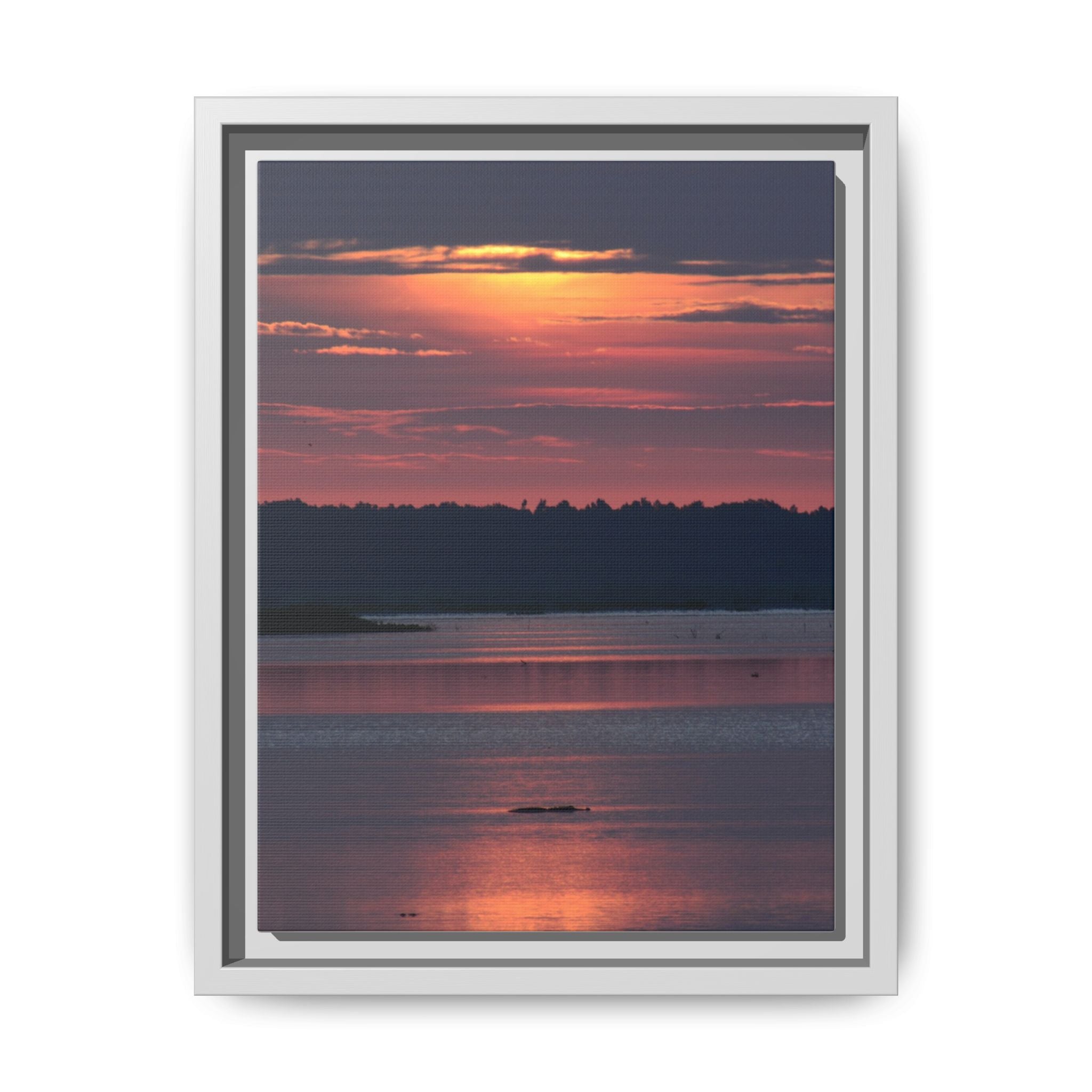 Framed Matte Canvas Sunrise Alligator Florida Wetlands