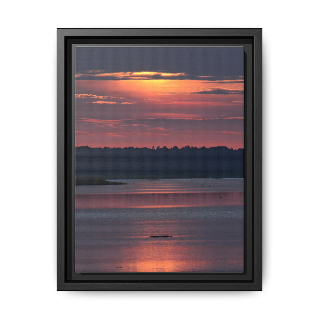 Framed Matte Canvas Sunrise Alligator Florida Wetlands