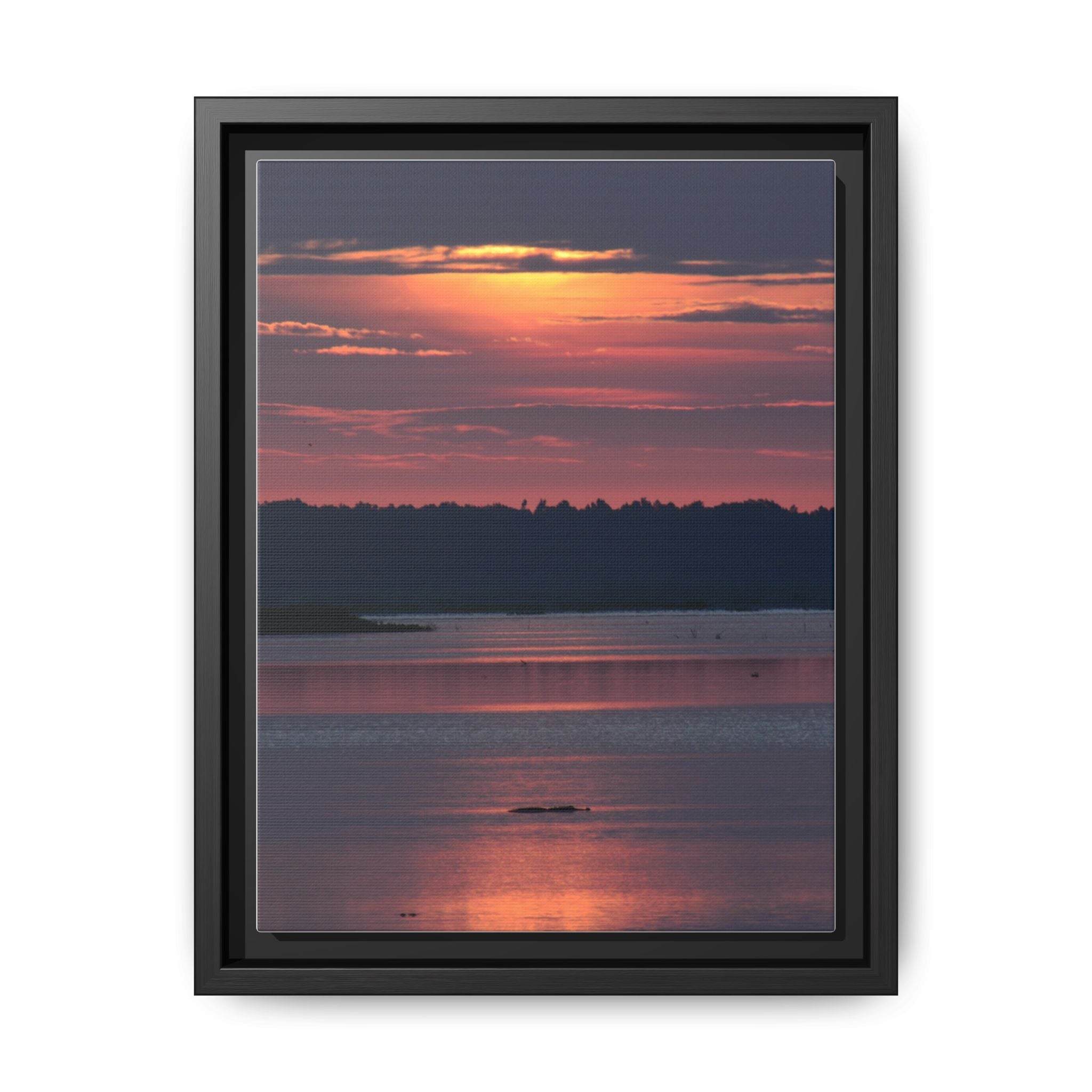 Framed Matte Canvas Sunrise Alligator Florida Wetlands