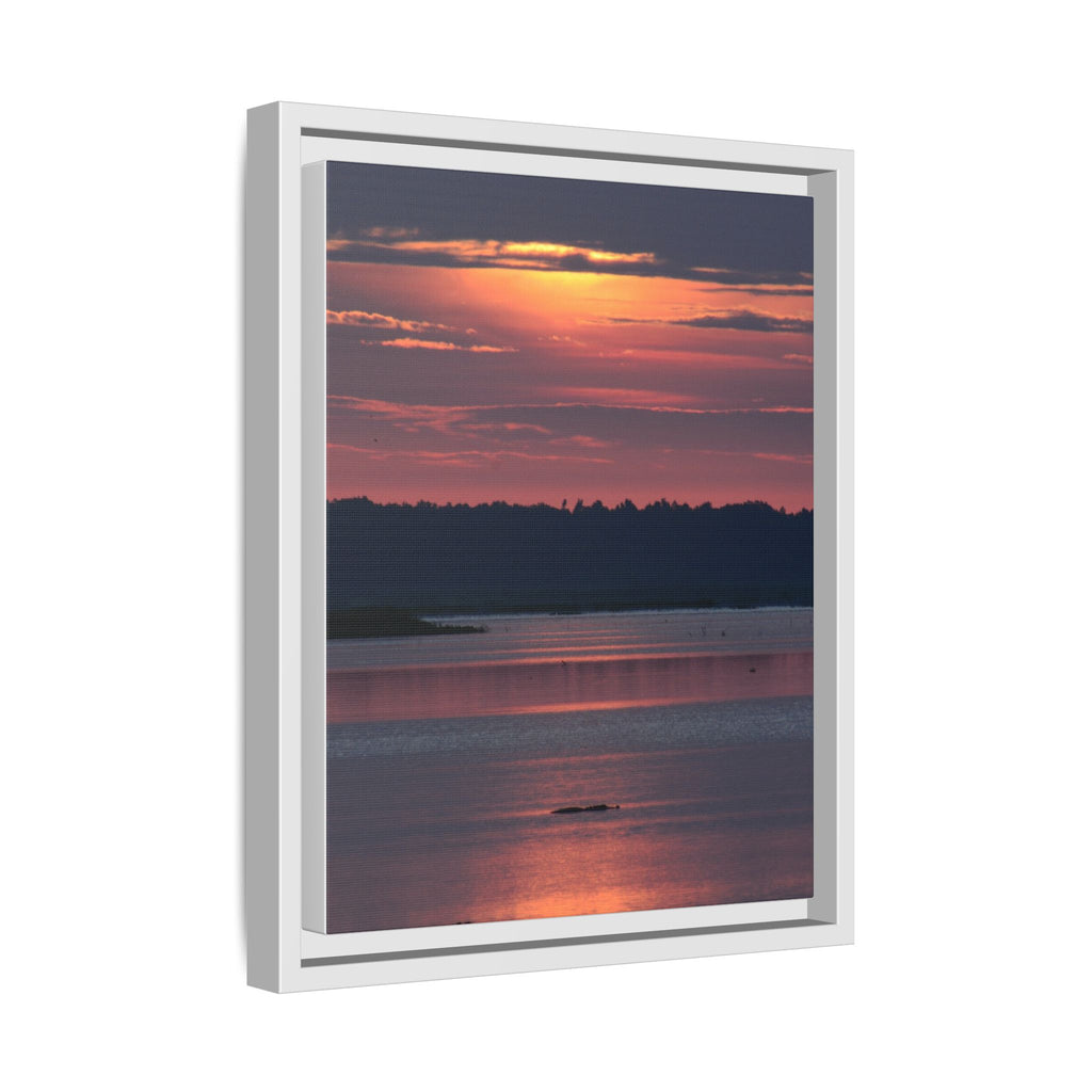 Framed Matte Canvas Sunrise Alligator Florida Wetlands