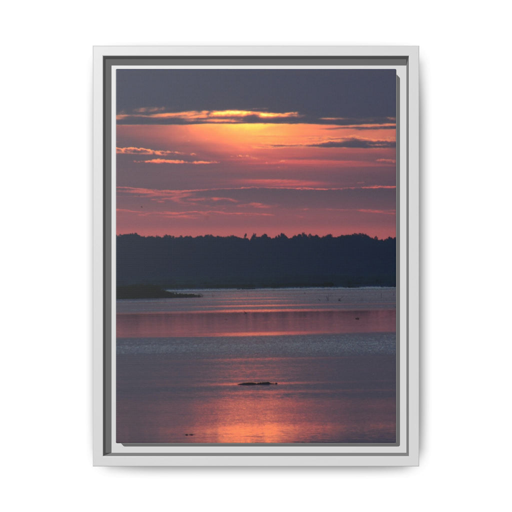 Framed Matte Canvas Sunrise Alligator Florida Wetlands